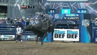 WRECK: Bryan Titman gets stepped on by Fairdealing (PBR)