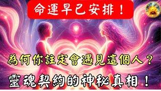 命運早已寫好劇本！為何你無論如何都會遇見『他』？靈魂契約背後的神秘安排，99%的人都曾經歷卻毫不自知！  【宸辰的分享天地】