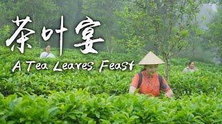 茶叶宴——采今年的新茶，给家人准备一桌茶香四溢的茶叶大餐【滇西小哥】