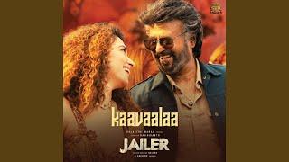 Kaavaalaa (From "Jailer")