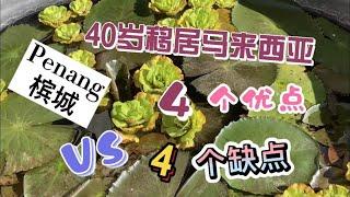 21、40岁移居马来西亚，我感受到这4个优点和4个缺点。️马来西亚生活纪实️第21期