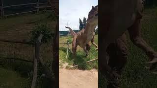 Il Prof. Marco al Parco dei Dinosauri