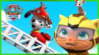 PAW Patrol and Cat Pack Save the Day and more! - PAW Patrol - Cartoons for Kids Compilation