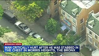 One person critically injured in stabbing in front of daycare in the Bronx