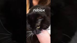 first cat to play roblox