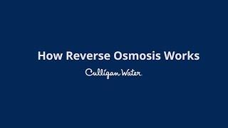 How Reverse Osmosis Water Filtration Works | Culligan Water