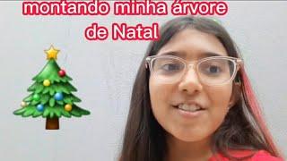 montando minha árvore de Natal 