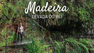 Levada do Rei Hike in Madeira  - one of the most beautiful & greenest levadas