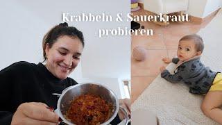 Krabbel-Forschritte & Sauerkraut probieren
