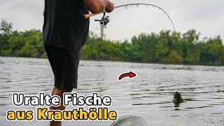 Angler entdeckt heftigste Fangmethode für Schleie und Aal!