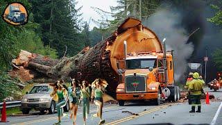 350 Extreme Logging Trucks - Extreme Dangerous Big Chainsaw Cutting Tree Machines - Heavy Machinery