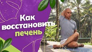 СПАСИ печень: как восстановить работу печени