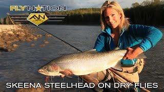 Fly Nation Skeena Steelhead on Dry Flies