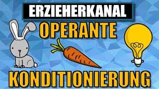 Operante Konditionierung - das operante konditionieren nach Skinner (einfach erklärt)| ERZIEHERKANAL