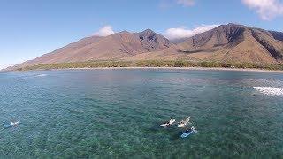 Maui Surfing Lessons | Learn to Surf in Maui