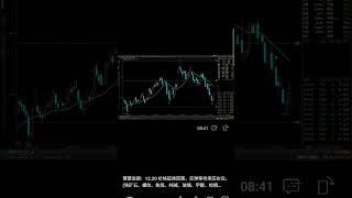 铁矿石19/12/2024期货市场前瞻Iron ore 19/12/2024 futures market outlook