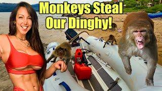 Aggressive Monkeys Steal Our Dinghy!