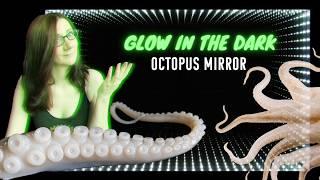 Building an Infinity Mirror Octopus (and a few of his friends)