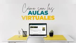 Cómo son las Aulas Virtuales