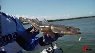 Soft Plastics 101 - Chapter 32 - How to Catch Flathead - Low Tide