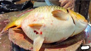 Amazing Cutting Skills || Big Carp Fish Cleaning & Cutting By Expert Fish Cutter