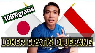 LOWONGAN KERJA GRATIS DI JEPANG 