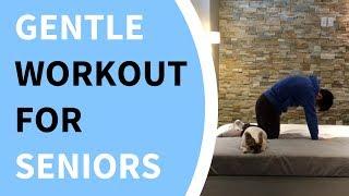 Follow-Along Mobility Workout for Seniors