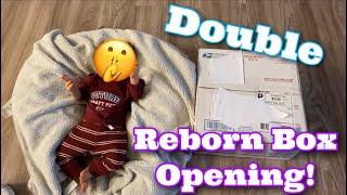 Rare SOLE Double Reborn Baby Box Opening! | Mya Reborns