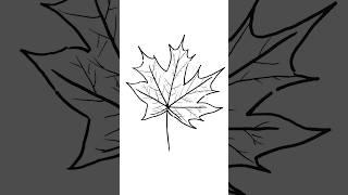 How to draw a Maple leaf Easy #art #easydrawing #drawing #shorts