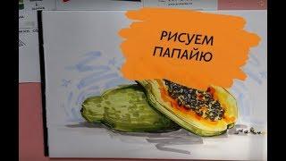 Как нарисовать папайю /How to Draw a Papaya