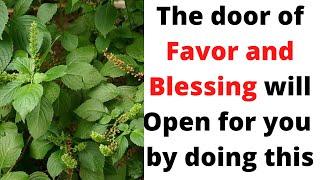 Door of Favor and Blessing will Open for you by doing this