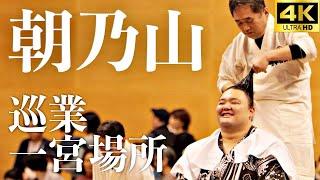 【巡業 一宮場所】朝乃山の髪結実演。詳細字幕あり。意外と知らない床山の世界【大相撲 sumo】