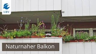 Naturnaher Balkon - Inspirationen für Dich