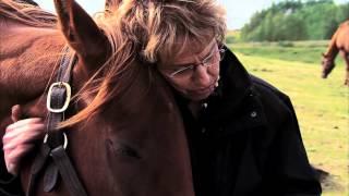 Horse Racing Alberta - There's a Horse for Everyone