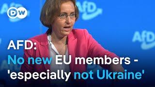 Behind German far-right party AfD's 'no to Ukraine' in the EU