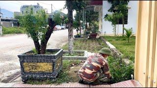 Volunteered to clean up sidewalks of grass growing under bricks using rudimentary tools