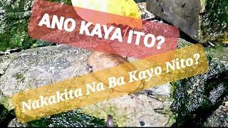 Alam Niyo Ba Kung Ano Ito? Watch to Find Out! | RobTag Channel