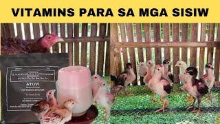 Vitamins para sa mga sisiw