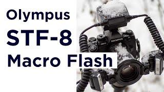 Olympus STF-8 Macro Flash Review