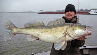 Robbert on The Lek; 96,5 cm Zander