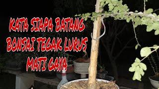 TAHAP AW4L //PROSES "BONSAI BUNJIN"