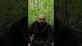 Как нужно реагировать на клещей