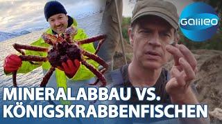 Harro vs. Martin: Mineralabbau im Kongo & Königskrabbenfischen in Norwegen