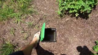 Doggie Dooley 3500 septic system review after 1 month