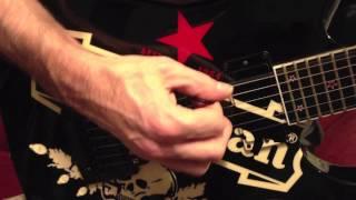 Jeff Hanneman's ESP custom Heineken guitar