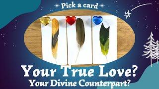 Your True Love?  Your Divine Counterpart? ⎜Pick a card⎜Timeless reading