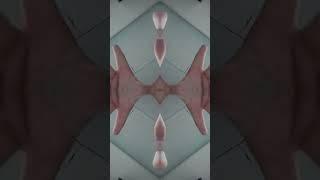 kaleidoscope effect
