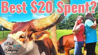 Lake Hartwell Wildlife Safari.  What is the best $20.00 you have ever spent?