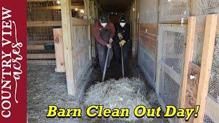 Barn Clean out Day!  One of the Dirtiest Jobs we have.  But it needs done before baby goats arrive.