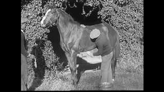 Horsepower (1937)